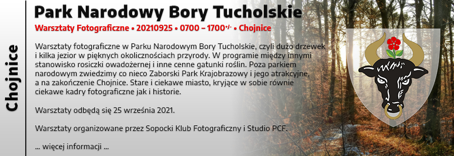 Tucholski Park Narodowy - Wyjazd Fotograficzny