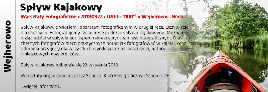 Spyw Kajakowy - Fotografia Przyrodnicza