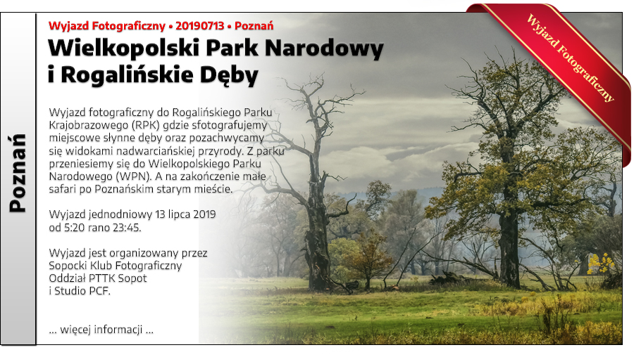 Wielkopolski Park Narodowy - Rogaliskie Dby
