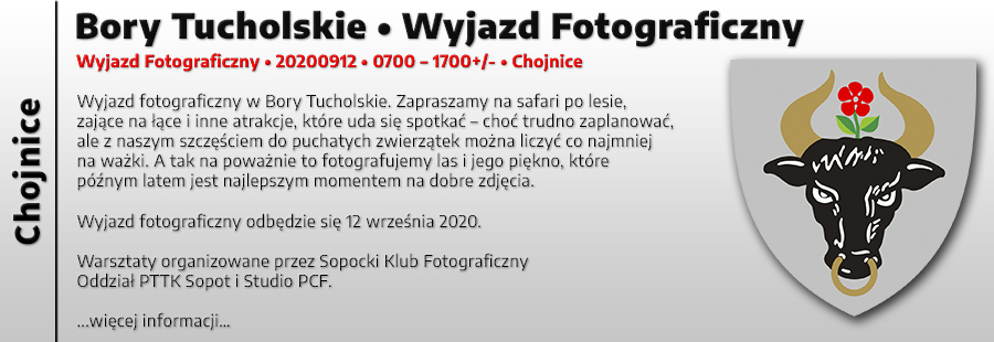 Bory Tucholskie - Wyjazd Fotograficzny