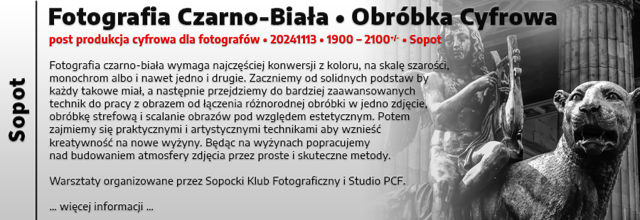 Fotografia Czarno-Biaa - Obrbka Cyfrowa